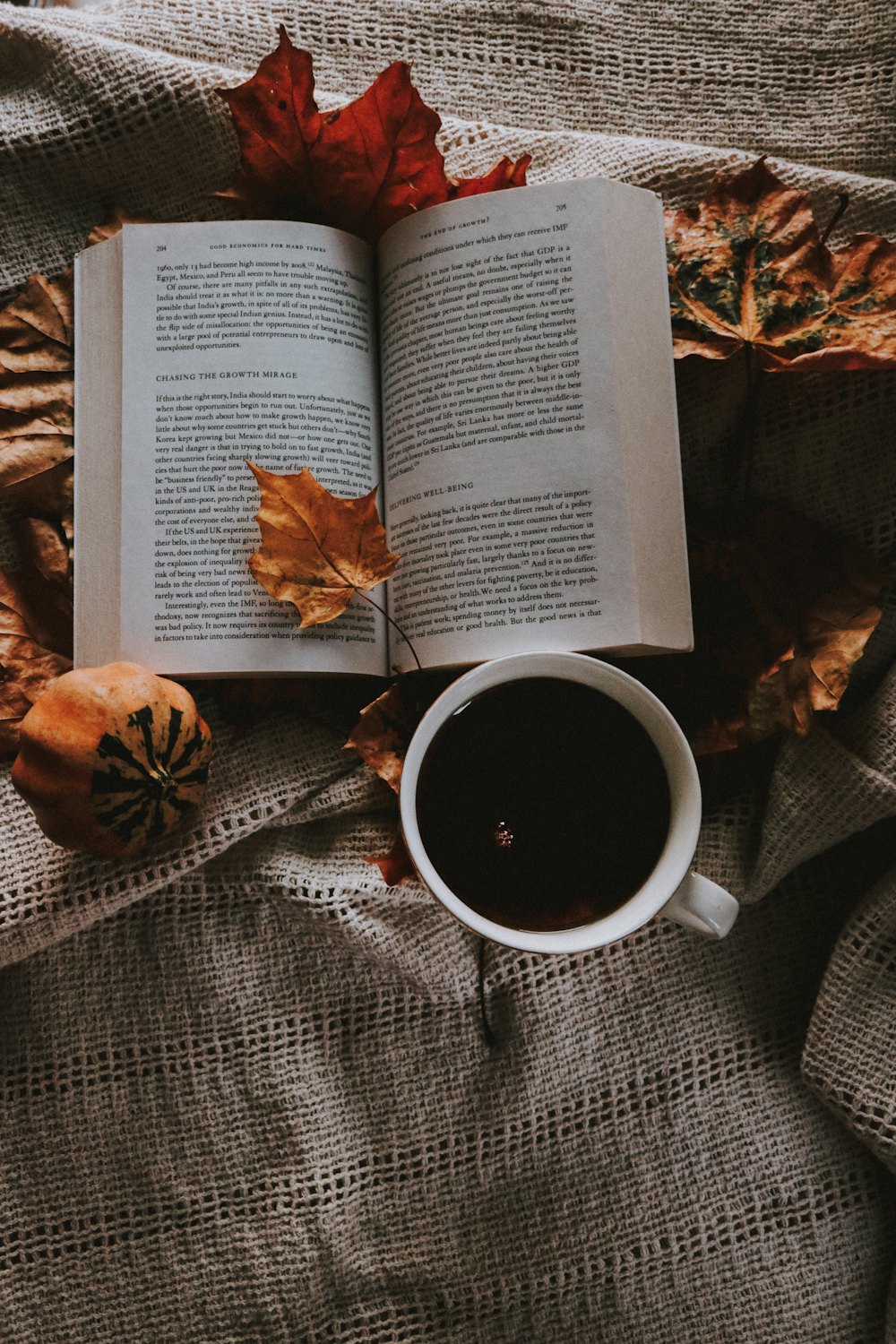 Coffee and an open book on a blanket